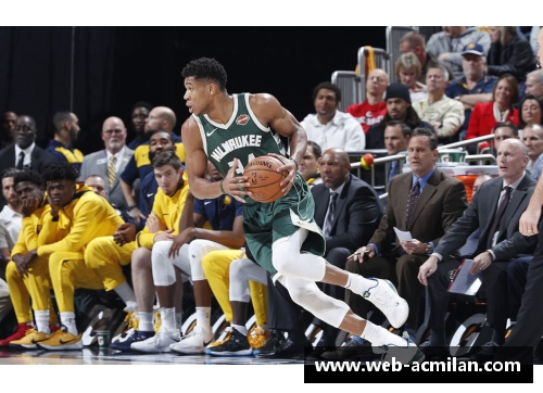NBA水爷：探寻职业篮球赛场上的谜团
