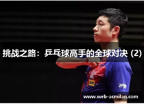 挑战之路：乒乓球高手的全球对决 (2)