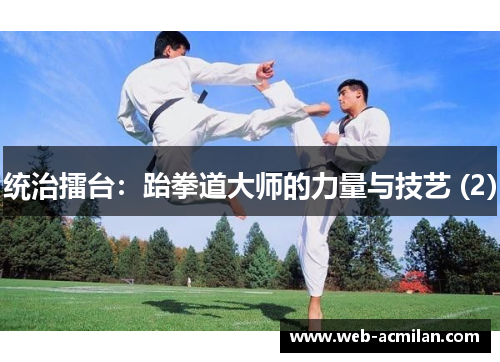统治擂台：跆拳道大师的力量与技艺 (2)